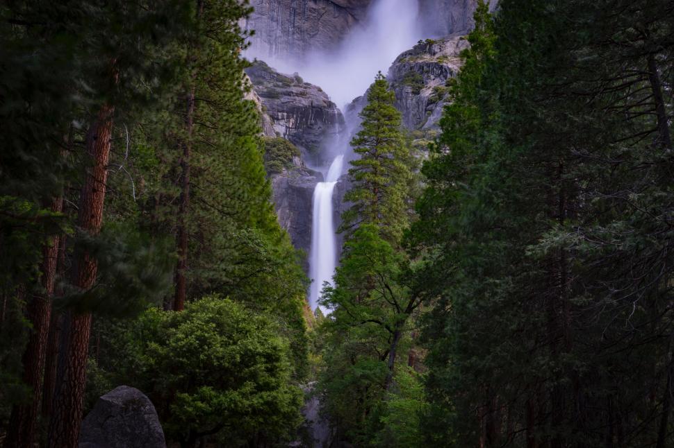 Free Image of Majestic Waterfall Surrounded by Forest 