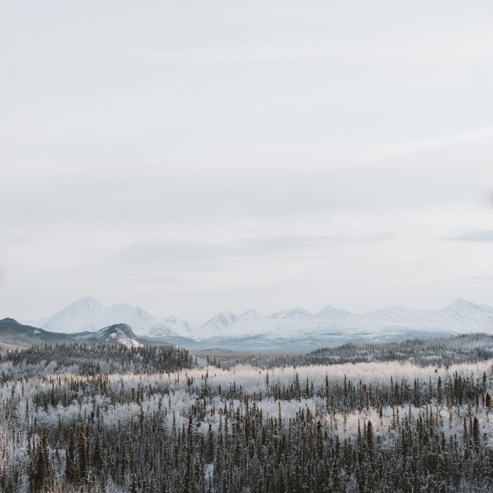 Free Image of Snowy Landscape With Trees and Mountains 