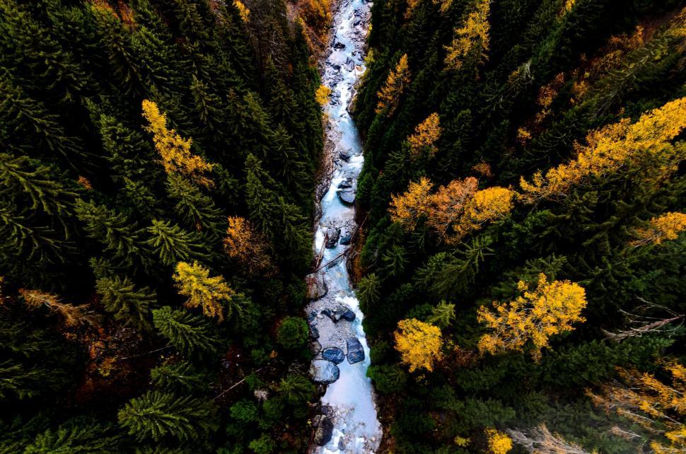 Free Image of River Flowing Through Snow-Covered Forest 