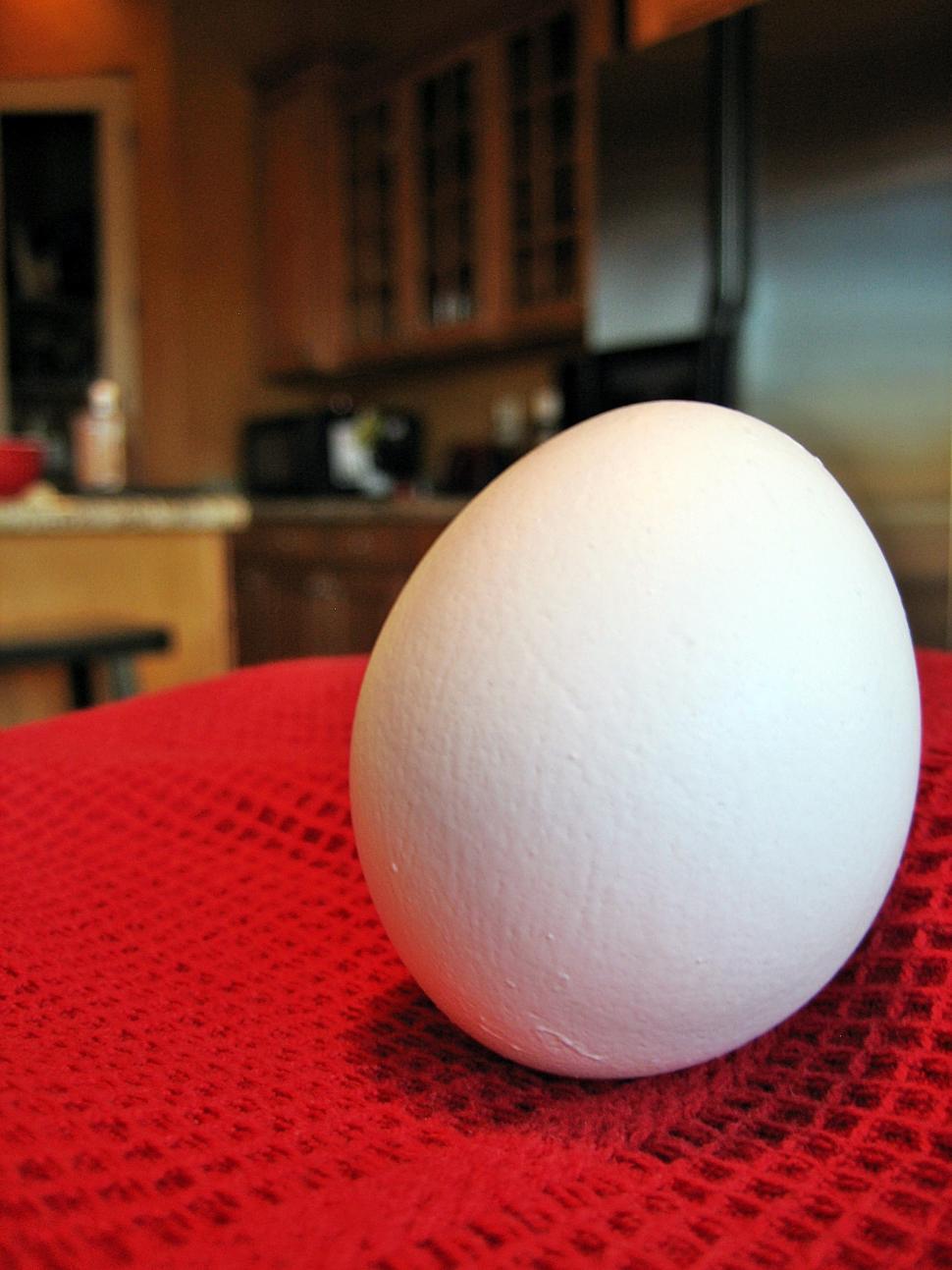 Free Image of Egg in Kitchen 