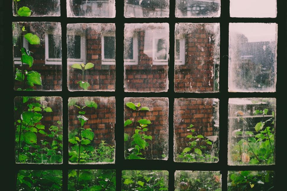 Free Image of A Window With Plants 