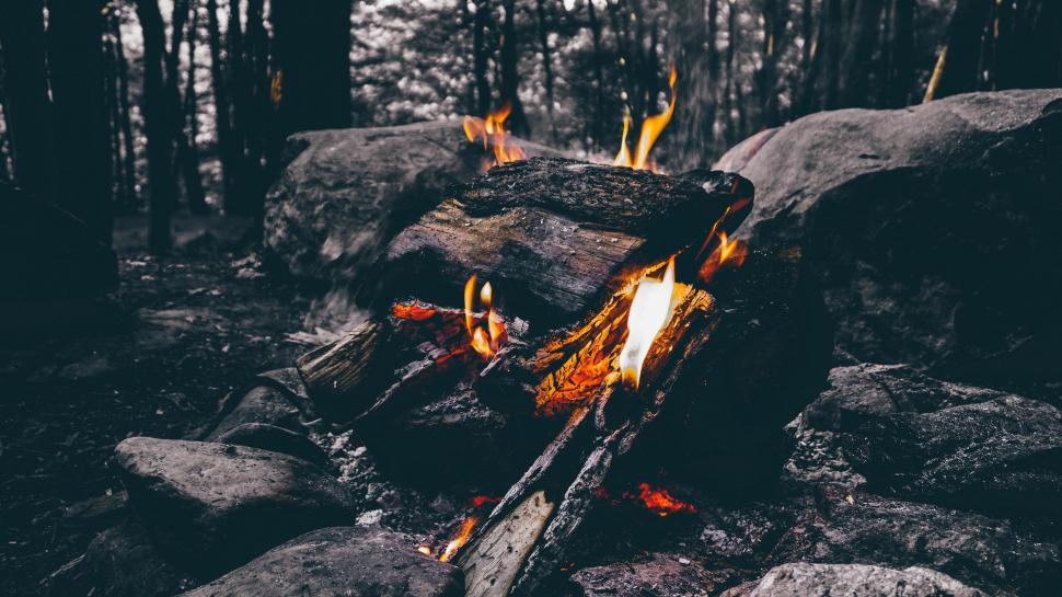 Free Image of Fire Burning in Middle of Forest Filled With Rocks 