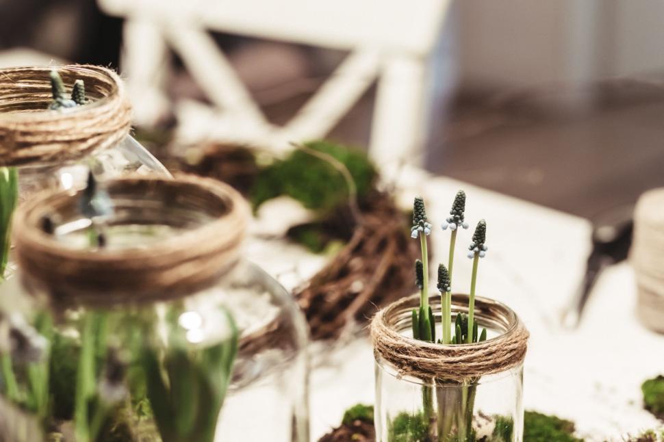 Free Image of Table With Glass Jars Filled With Plants 