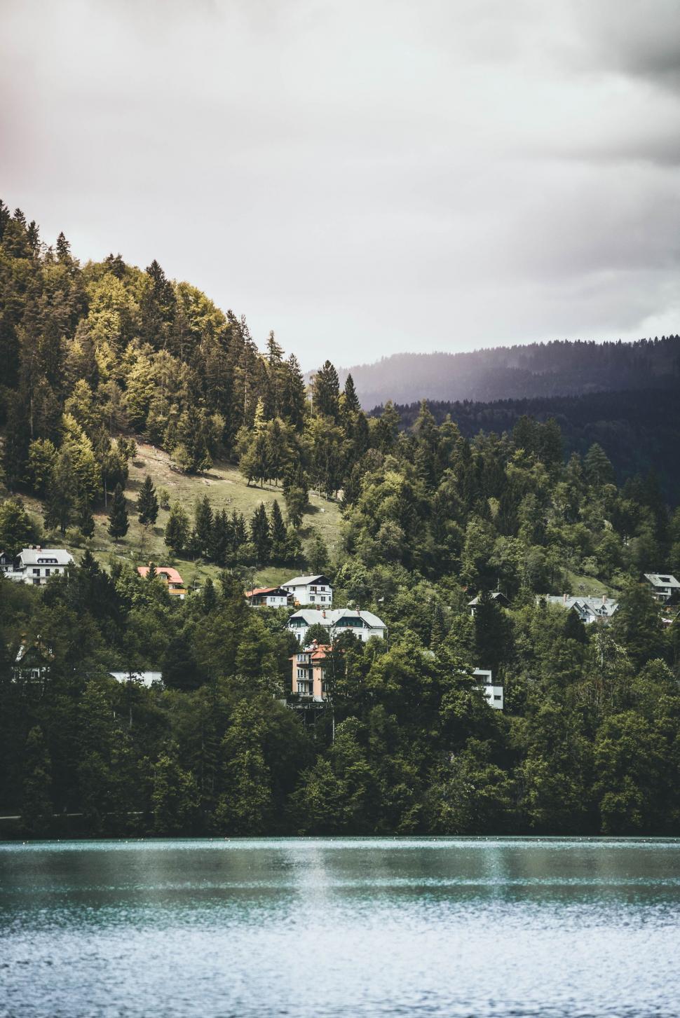 Free Image of Lake Surrounded by Trees and Houses 