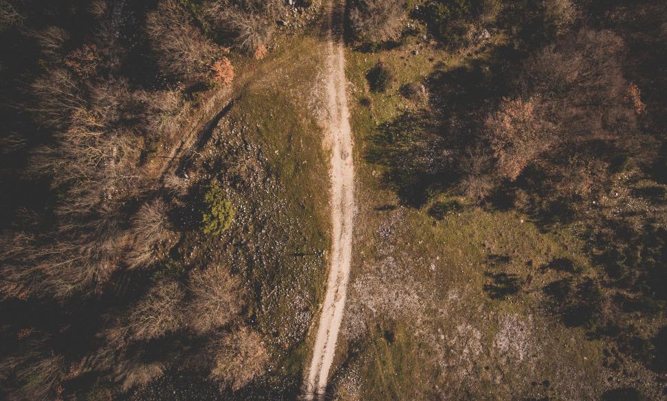 Free Image of Aerial View of Dirt Road in the Woods 