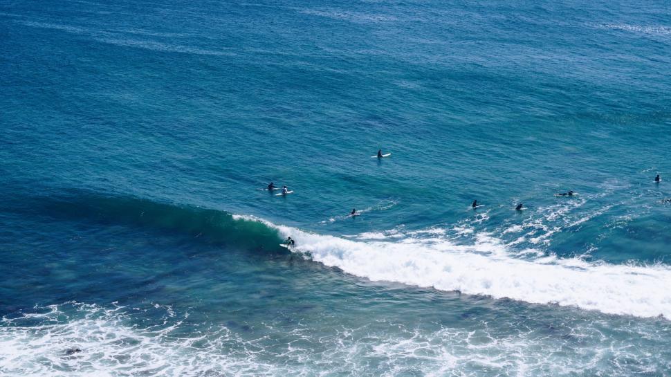 Free Image of Group of People Riding Waves on Top of Surfboards 