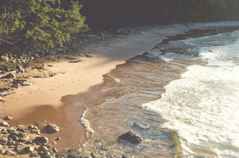Free Image of Sandy Beach Next to Ocean and Trees 