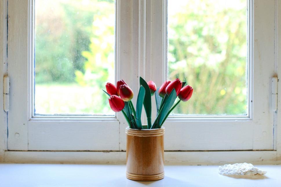 Free Image of Vase With Red Tulips in Front of Window 