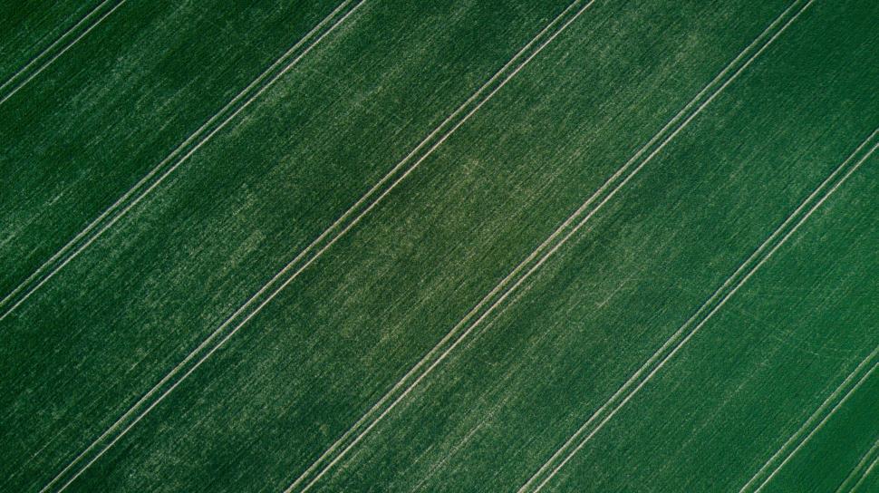Free Image of Green Field With Lines 