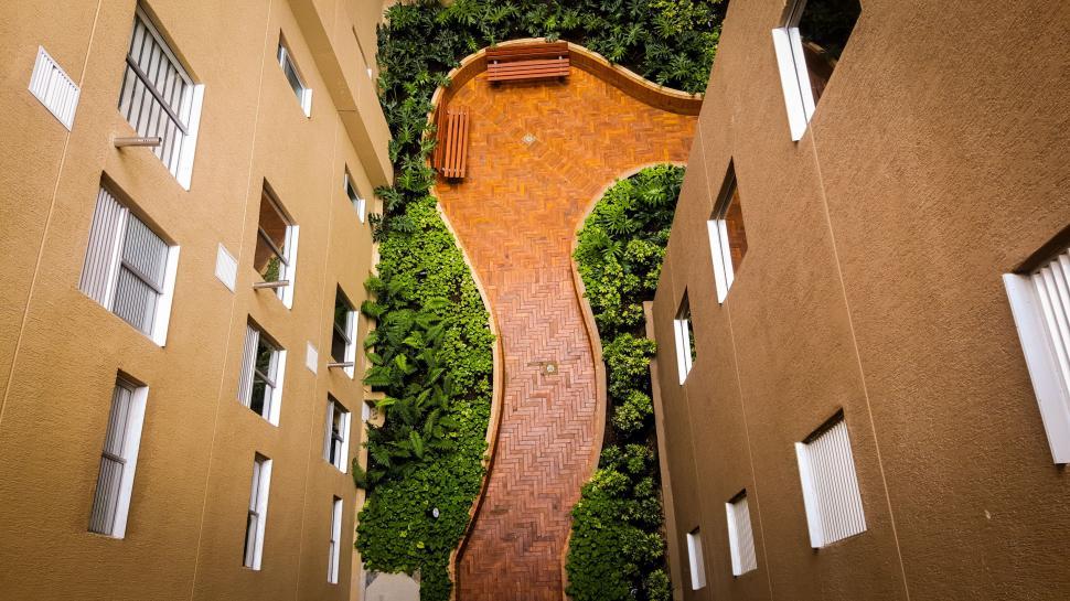Free Image of Narrow Walkway Between Two Buildings Overgrown With Plants 