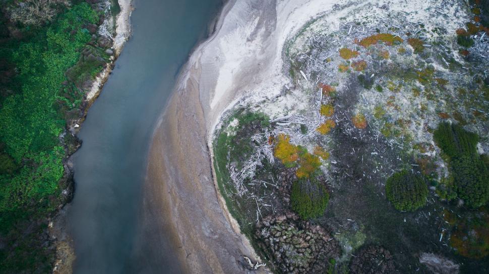 Free Image of Aerial View of River Flowing Through Forest 
