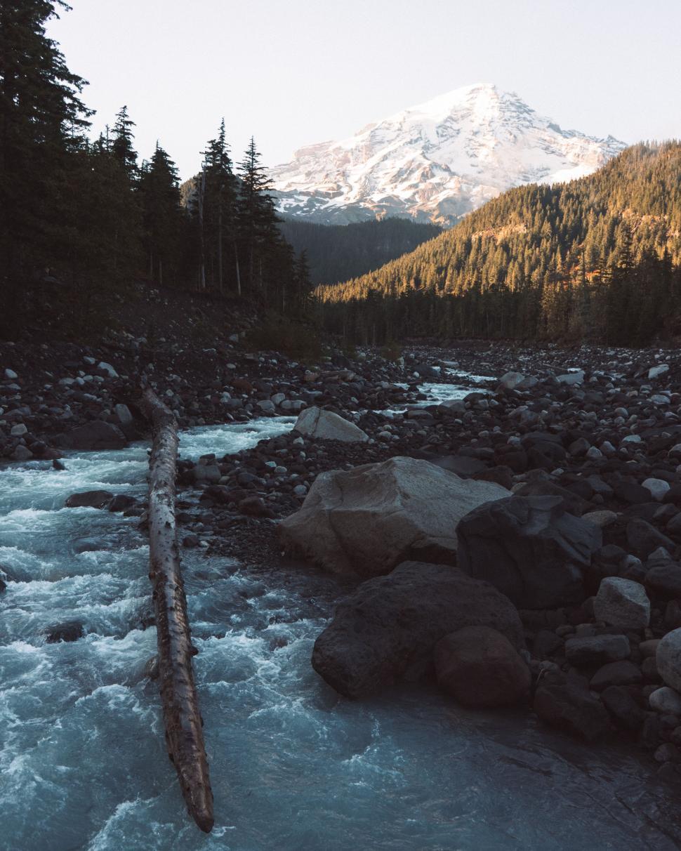 Free Image of River Flowing Through Forest With Mountain in Background 