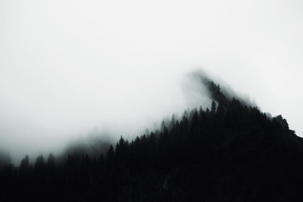 Free Image of Mountain With Trees in Black and White 