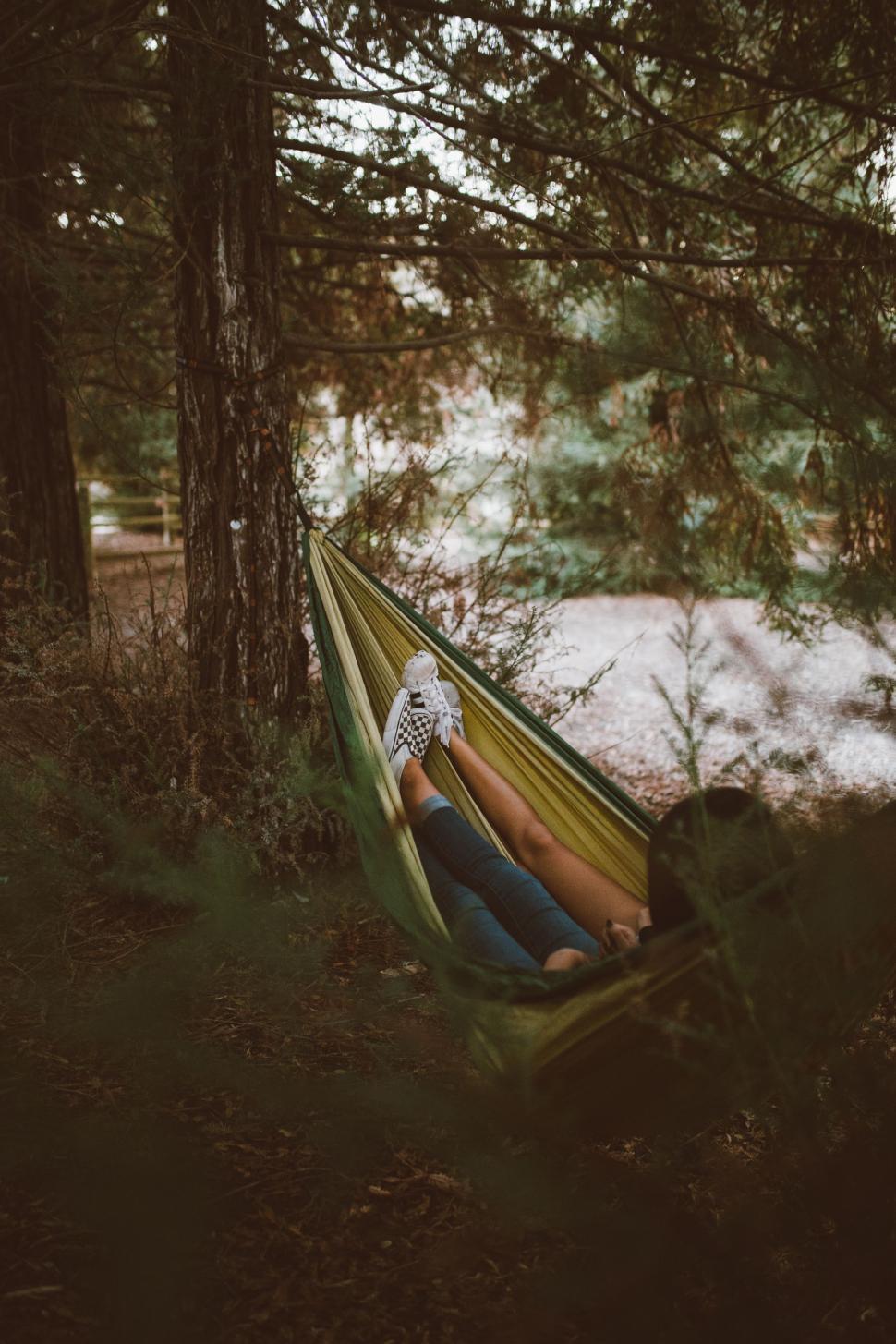 Free Image of Person Relaxing in Hammock in Wooded Area 