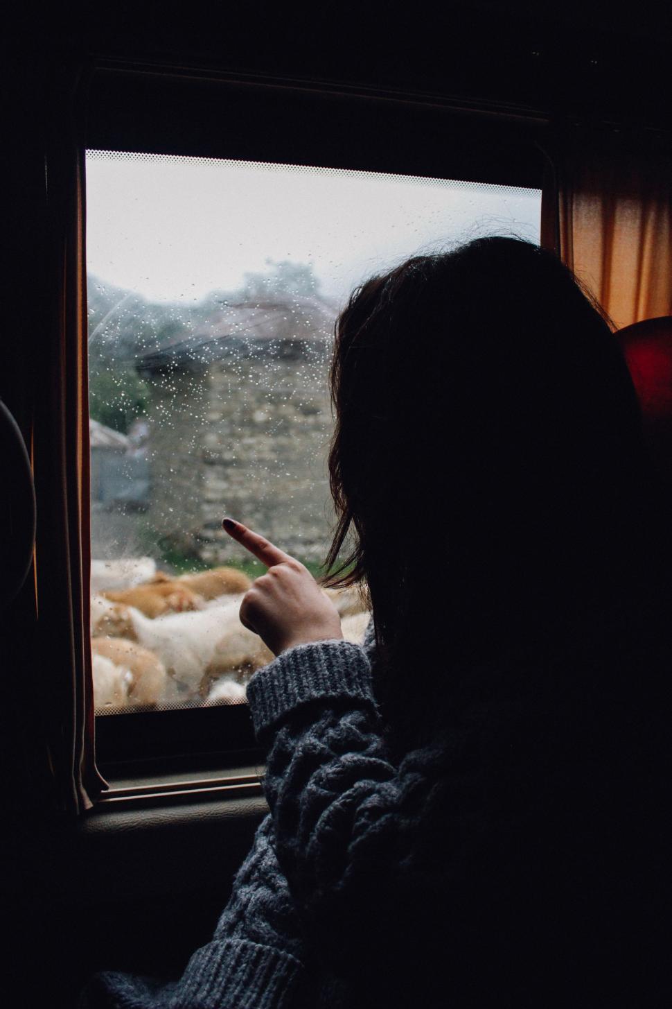 Free Image of Woman Observing Herd of Cows Through Window 