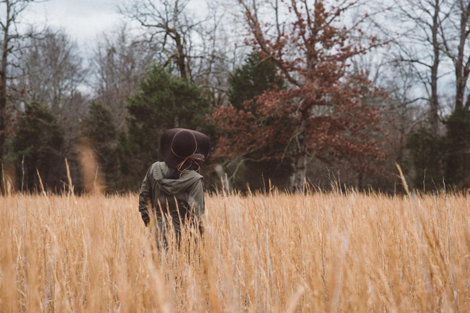 Free Image of Person Walking Through a Field of Tall Grass 
