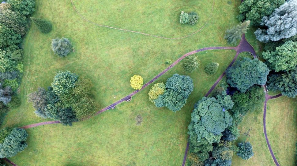 Free Image of Aerial View of Grassy Area With Trees 