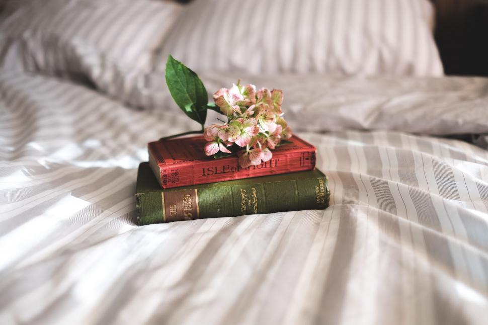 Free Image of Stack of Books on Bed 