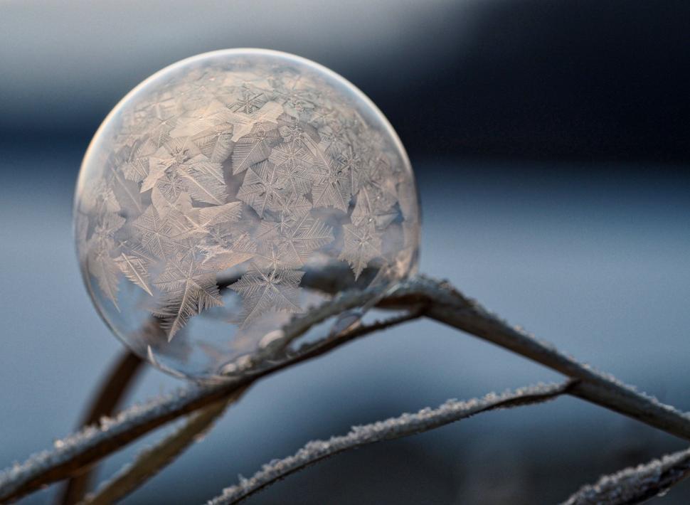 Free Image of Glass Ball on Twig 