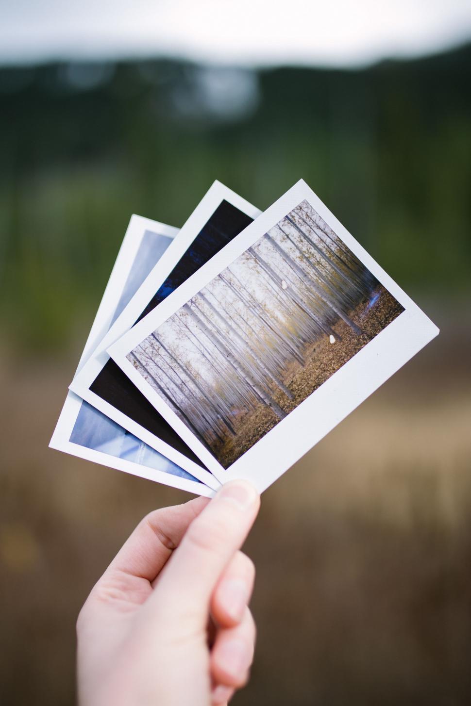 Free Image of Person Holding Up Four Polaroid Photos 