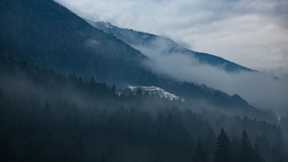 Free Image of Misty Mountain With Trees in Foreground 