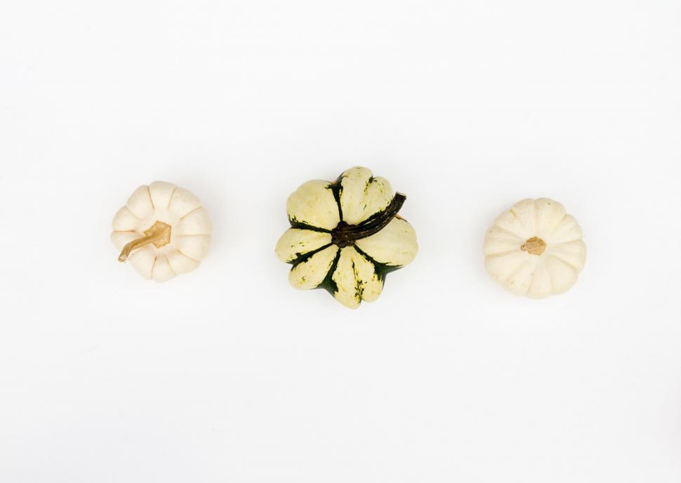 Free Image of Trio of White Pumpkins Resting Together 