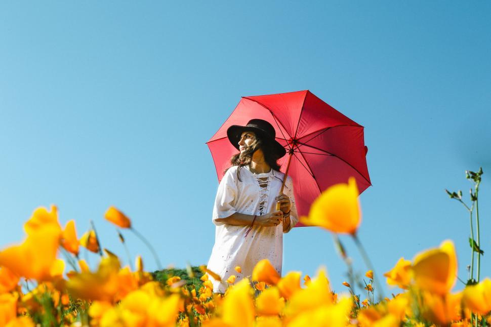 Free Image of Person Standing in Field With Red Umbrella 