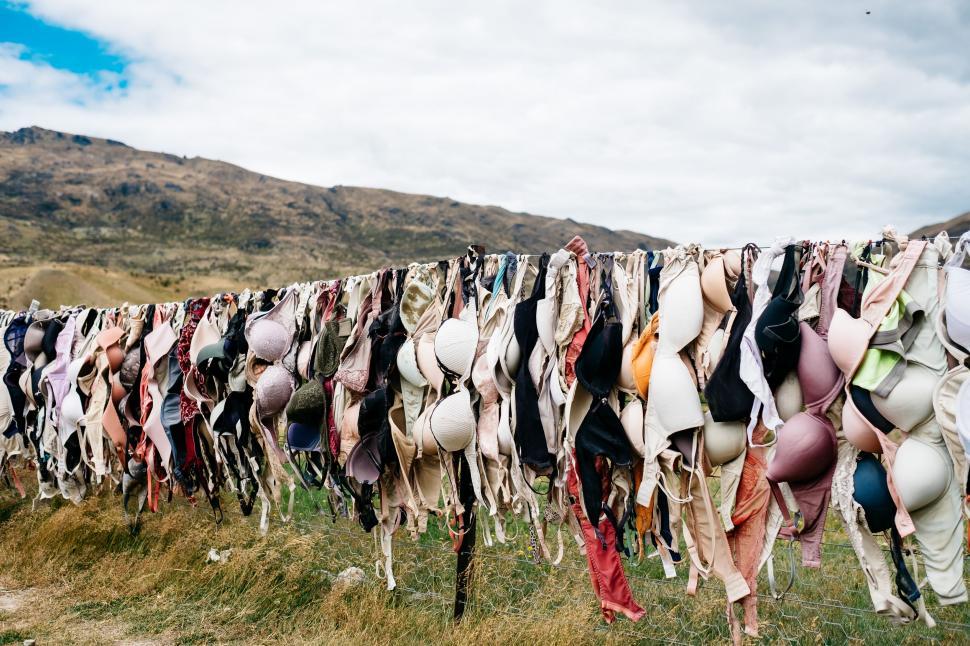 Free Image of Bras Hanging on a Clothes Line 
