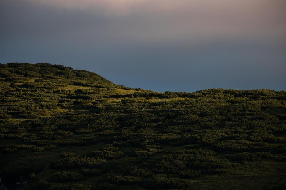 Free Image of Hill Covered in Grass Under Cloudy Sky 