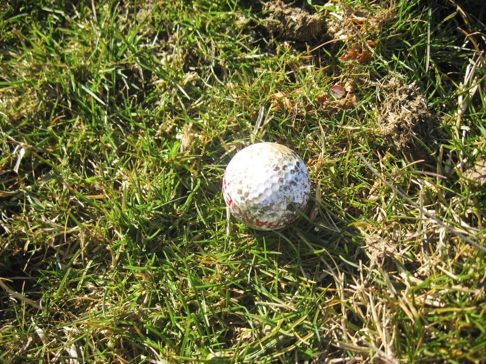 Free Image of dirty golf ball 