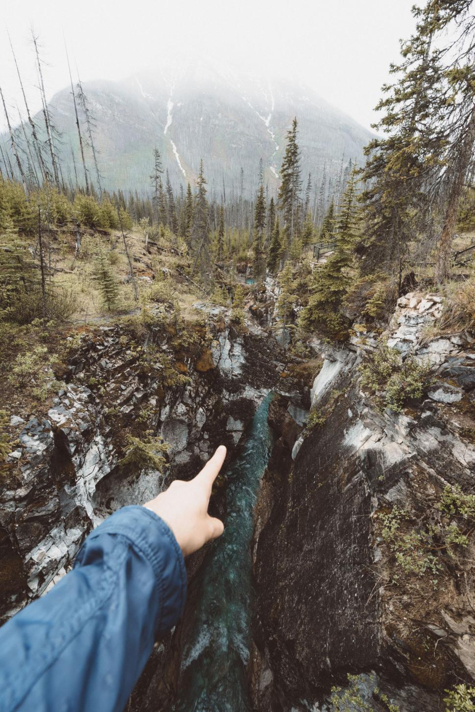 Free Image of Person Pointing at Stream in Forest 