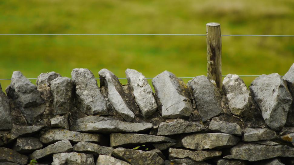Free Image of Sheep Standing on Dry Stone Wall 