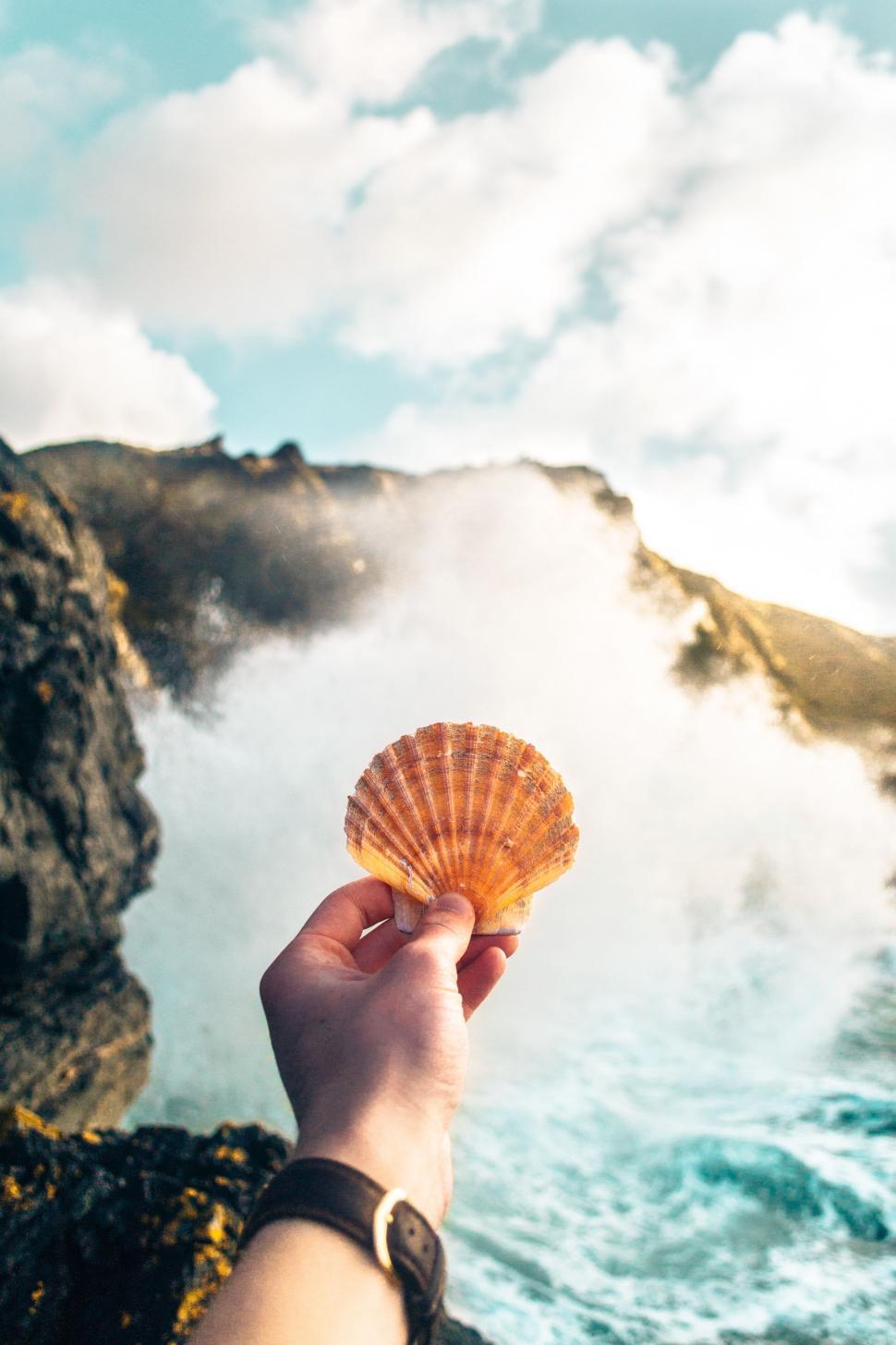 Free Image of Person Holding Seashell in Front of Wave 