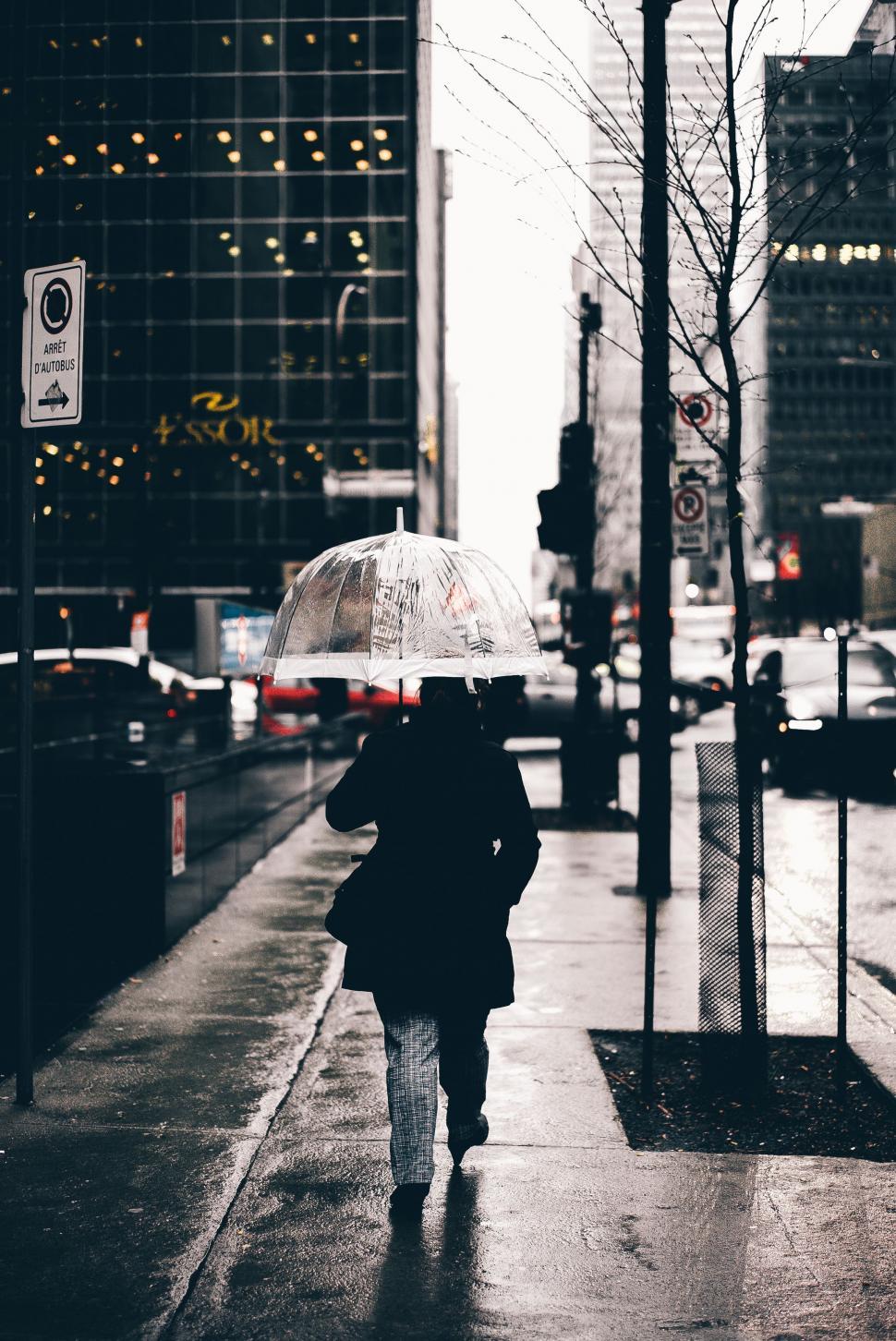 Free Image of Person Walking Down Street Holding Umbrella 