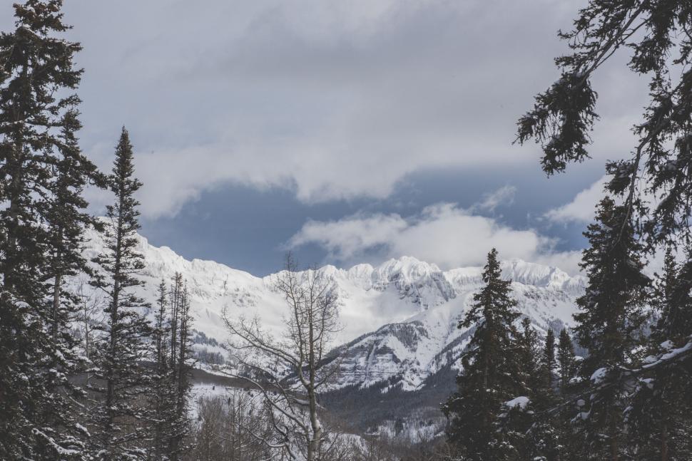 Free Image of Snow Covered Mountain With Foreground Trees 