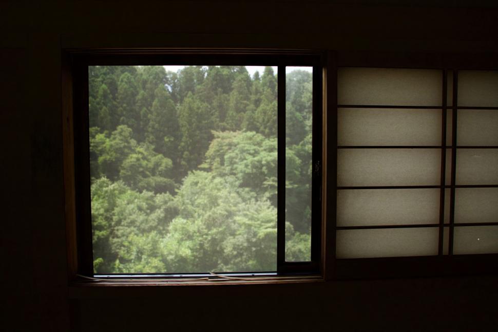Free Image of Window Overlooking Forest View 