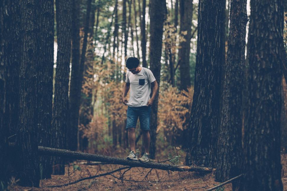 Free Image of Man Standing on Fallen Tree in Forest 