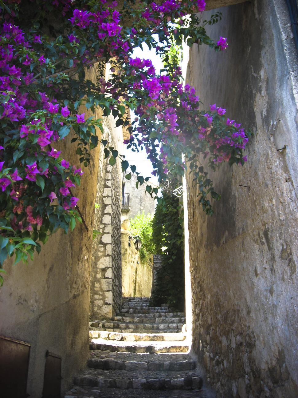 Free Image of narrow street 