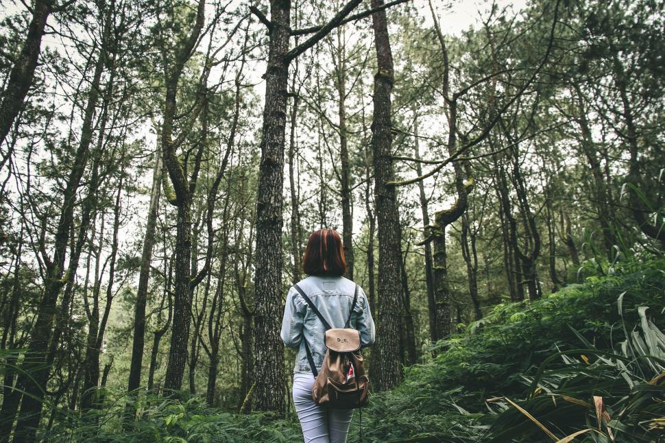 Free Image of Woman Walking in the Woods With a Backpack 