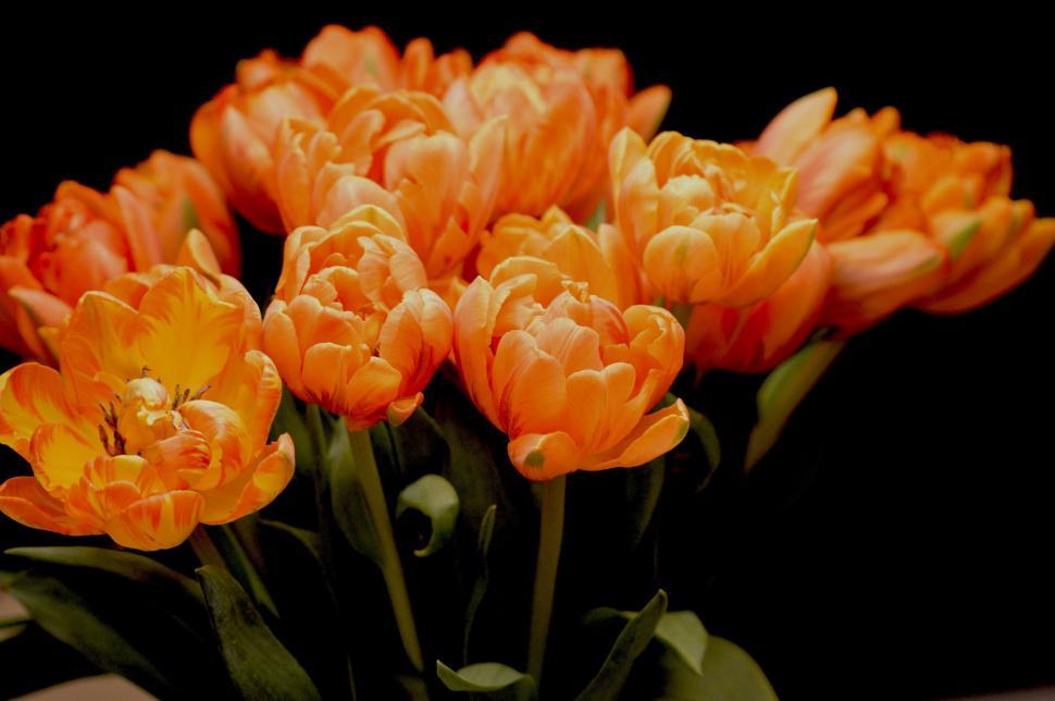 Free Image of Vase With Orange Flowers on Table 