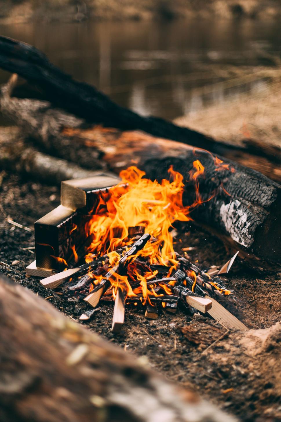 Free Image of Fire Burning in Forest 