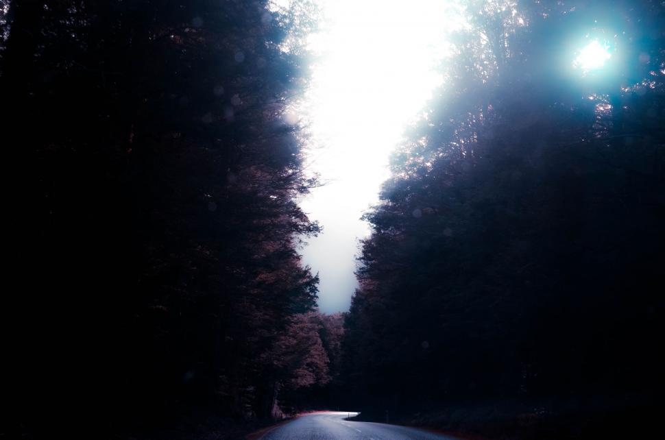 Free Image of Car Driving Down Road Next to Forest 