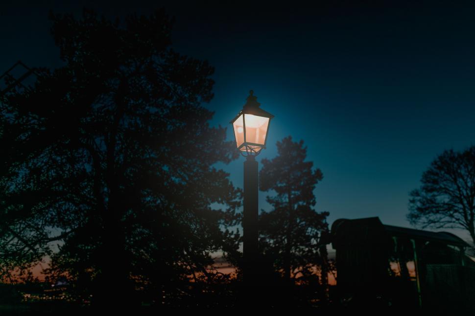 Free Image of Street Light Amidst Forest 