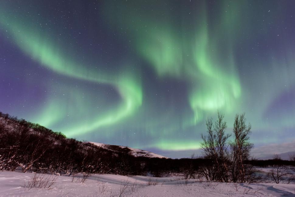 Free Image of Green and Purple Aurora Bore in the Sky 