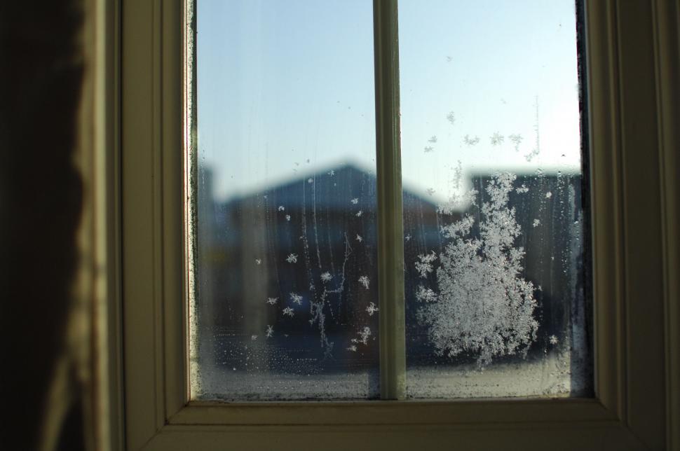 Free Image of Frosty Window With Tree Outside 