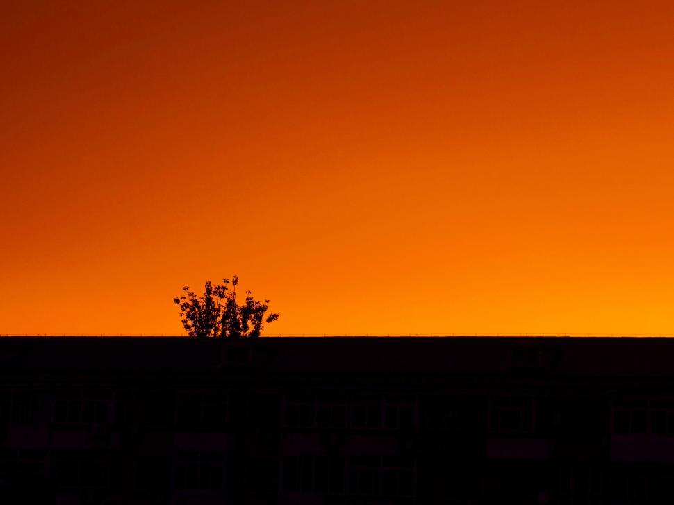 Free Image of Lone Tree Silhouetted Against Orange Sky 