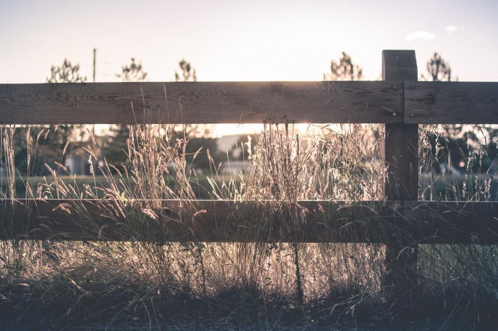 Free Image of Wooden Fence With Tall Grass Background 
