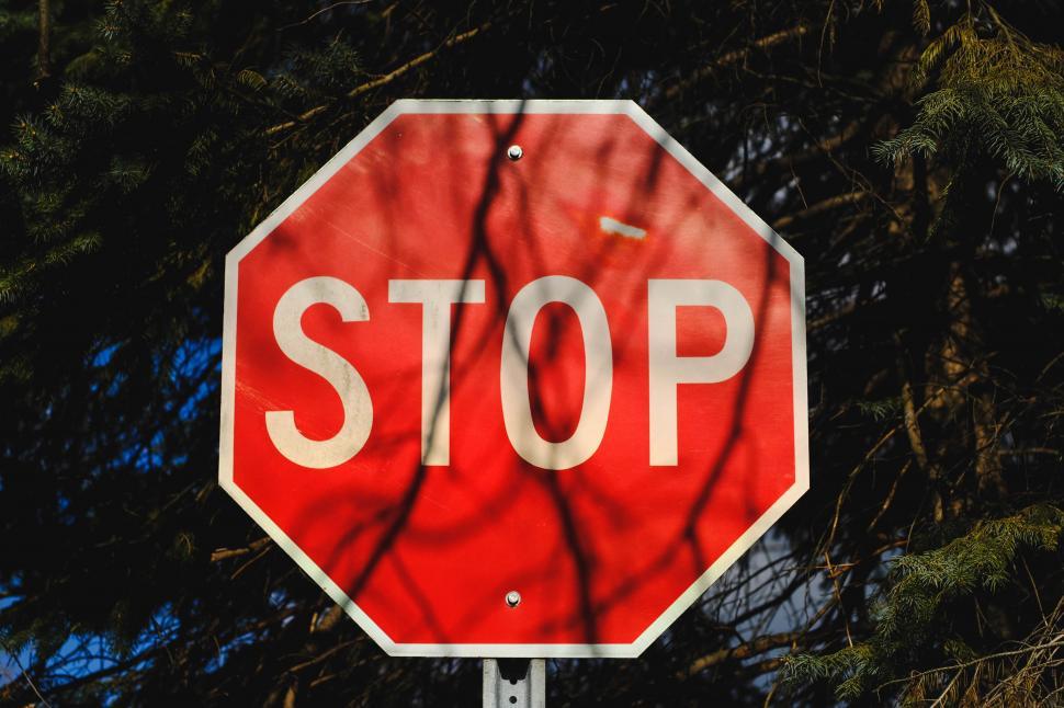 Free Image of Red Stop Sign Next to Trees 