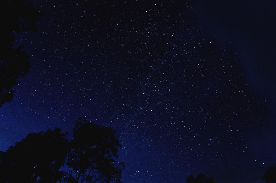 Free Image of Starry Night Sky With Trees 