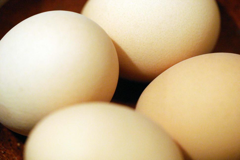 Free Image of Eggs in a bowl 